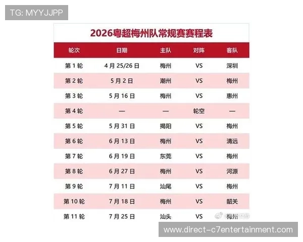 广东省超级联赛最新赛季精彩回顾与球队实力全面解析